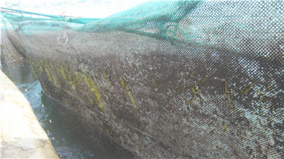 1562029140748560.jpg 高壓清洗機(jī),進(jìn)口高壓清洗機(jī),高壓清洗機(jī)價格,超高壓清洗機(jī)