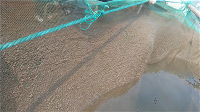 高壓清洗機(jī),進(jìn)口高壓清洗機(jī),高壓清洗機(jī)價格,超高壓清洗機(jī) 高壓清洗機(jī),進(jìn)口高壓清洗機(jī),高壓清洗機(jī)價格,超高壓清洗機(jī)