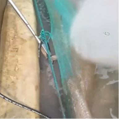 高壓清洗機(jī),進(jìn)口高壓清洗機(jī),高壓清洗機(jī)價(jià)格,超高壓清洗機(jī) 高壓清洗機(jī),進(jìn)口高壓清洗機(jī),高壓清洗機(jī)價(jià)格,超高壓清洗機(jī)