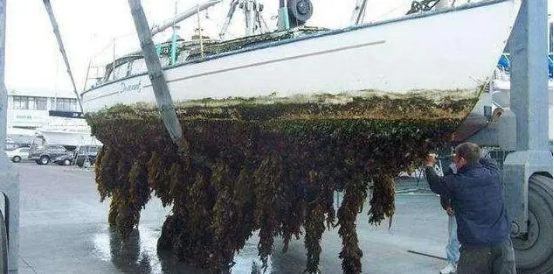 高壓清洗機(jī),進(jìn)口高壓清洗機(jī),高壓清洗機(jī)價(jià)格,超高壓清洗機(jī) 高壓清洗機(jī),進(jìn)口高壓清洗機(jī),高壓清洗機(jī)價(jià)格,超高壓清洗機(jī)